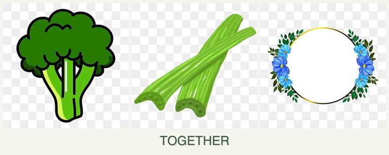 Can you plant broccoli, celery and zinnias together?