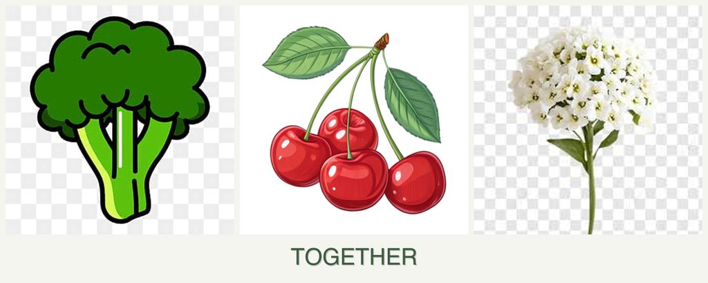 Can you plant broccoli, cherries and alyssum together?
