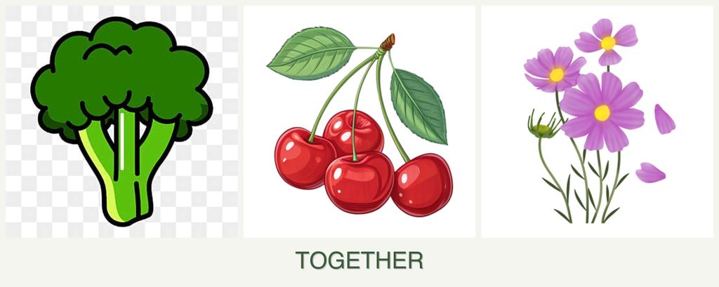Can you plant broccoli, cherries and cosmos together?