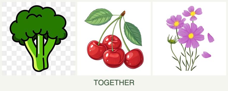 Can you plant broccoli, cherries and cosmos together?