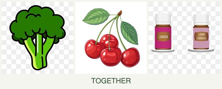 Can you plant broccoli, cherries and geraniums together?