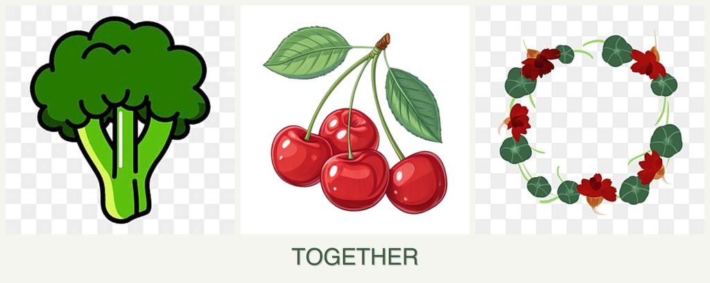 Can you plant broccoli, cherries and nasturtiums together?