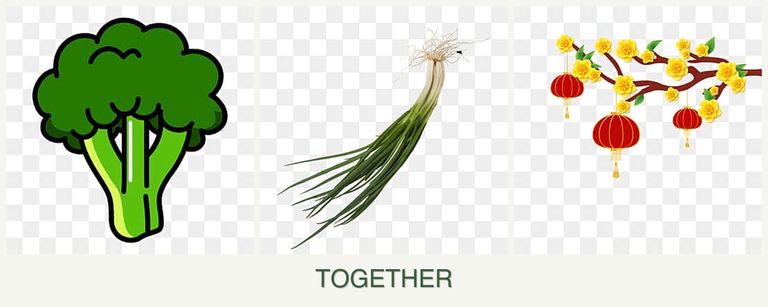 Can you plant broccoli, chives and apricots together?