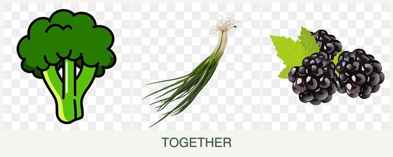 Can you plant broccoli, chives and blackberries together?