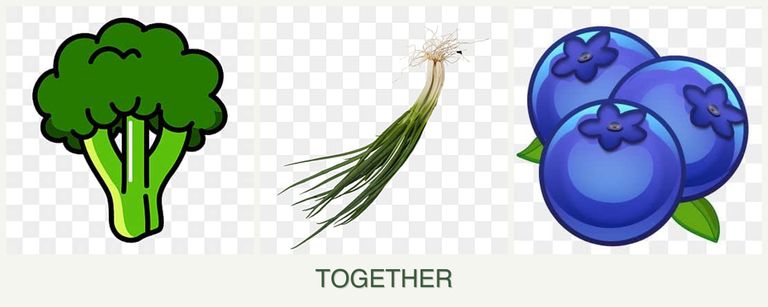 Can you plant broccoli, chives and blueberries together?
