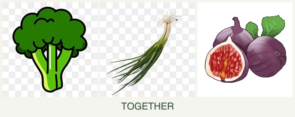 Can you plant broccoli, chives and figs together?