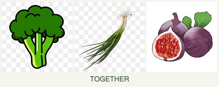 Can you plant broccoli, chives and figs together?