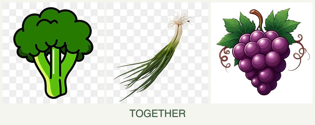 Can you plant broccoli, chives and grapes together?
