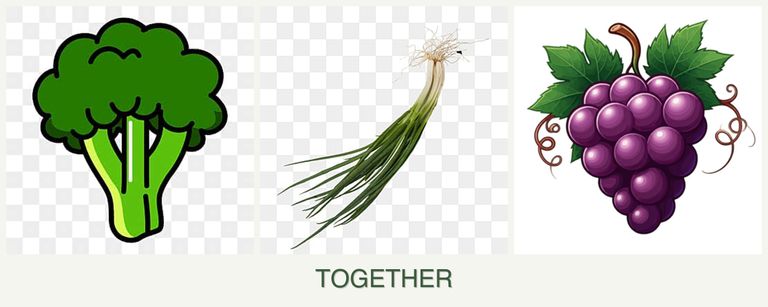 Can you plant broccoli, chives and grapes together?