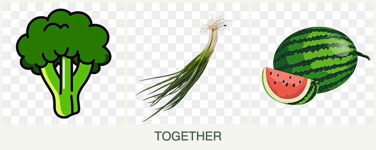 Can you plant broccoli, chives and melons together?