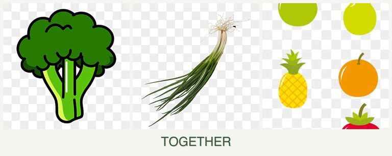 Can you plant broccoli, chives and pears together?