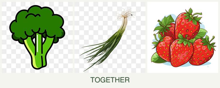 Can you plant broccoli, chives and strawberries together?