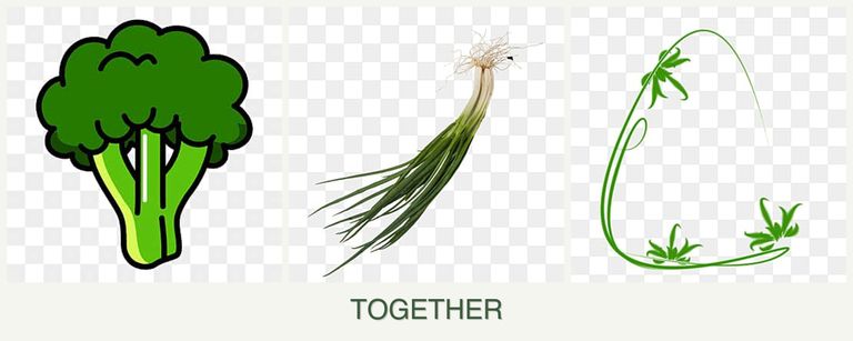 Can you plant broccoli, chives and tarragon together?