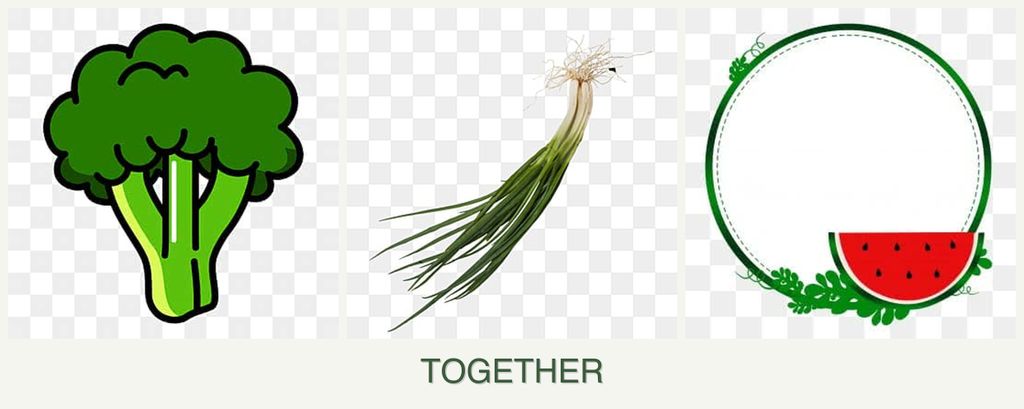 Can you plant broccoli, chives and watermelons together?