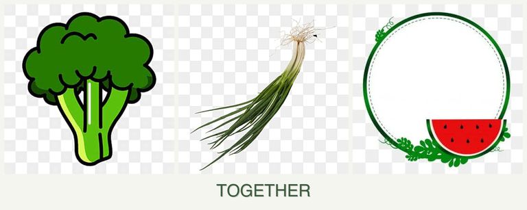 Can you plant broccoli, chives and watermelons together?