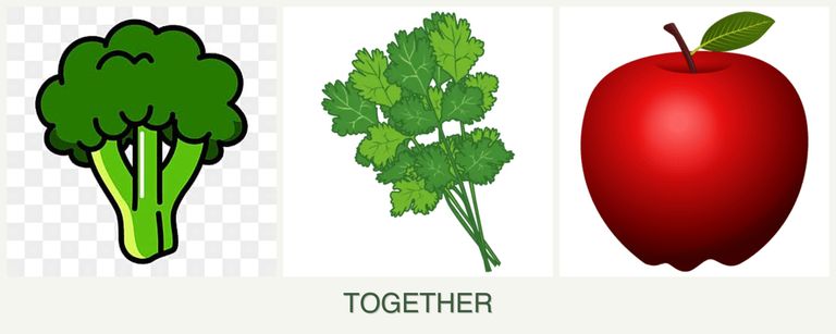 Can you plant broccoli, cilantro and apples together?