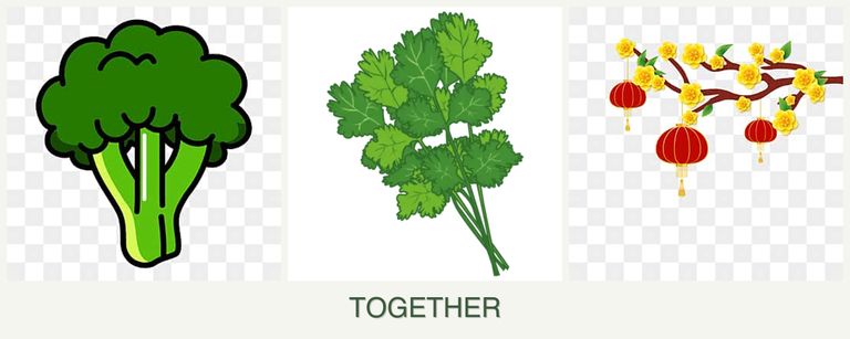 Can you plant broccoli, cilantro and apricots together?