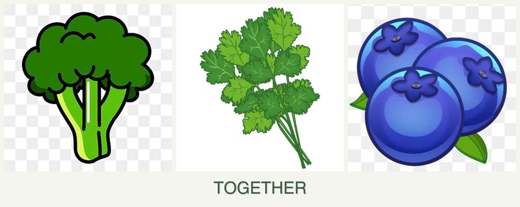 Can you plant broccoli, cilantro and blueberries together?