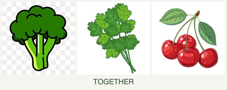 Can you plant broccoli, cilantro and cherries together?