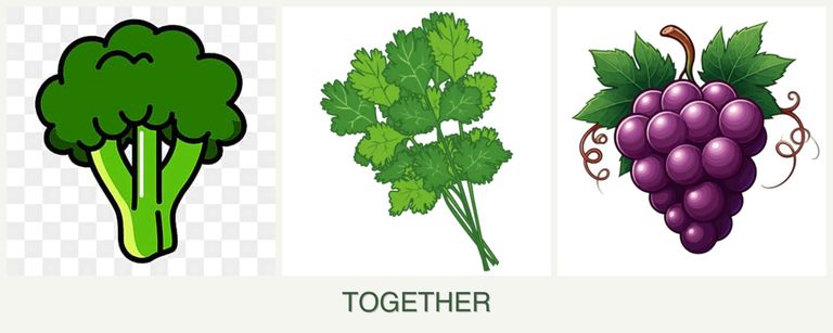 Can you plant broccoli, cilantro and grapes together?