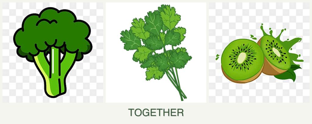 Can you plant broccoli, cilantro and kiwi together?
