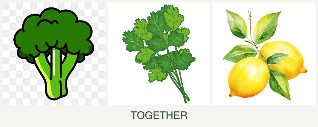 Can you plant broccoli, cilantro and lemons together?