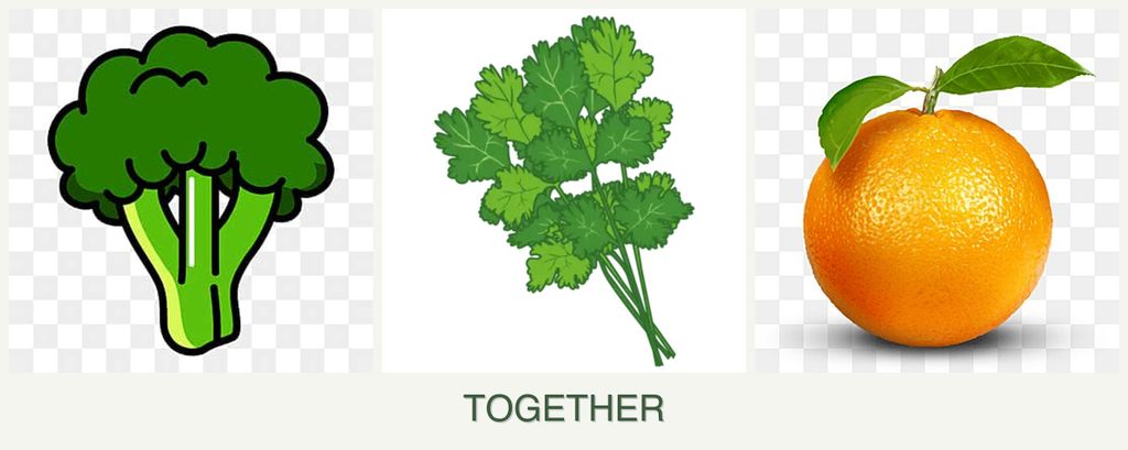Can you plant broccoli, cilantro and oranges together?