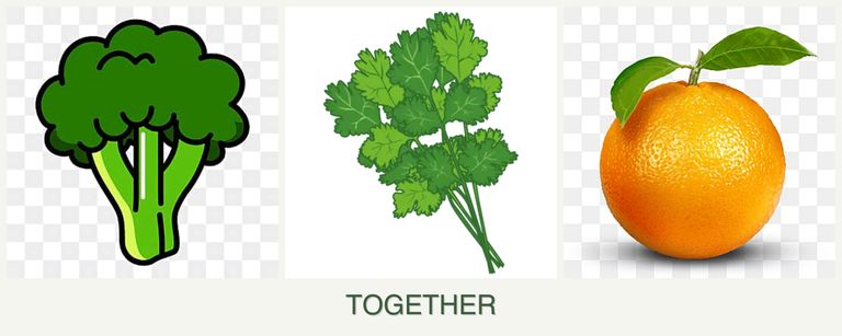 Can you plant broccoli, cilantro and oranges together?
