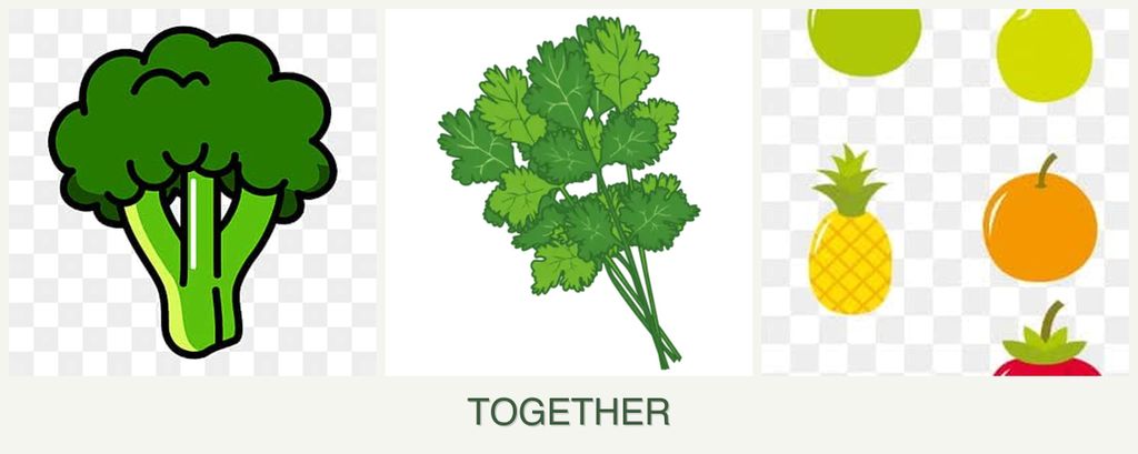 Can you plant broccoli, cilantro and pears together?