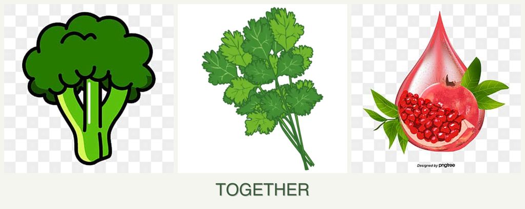 Can you plant broccoli, cilantro and pomegranates together?