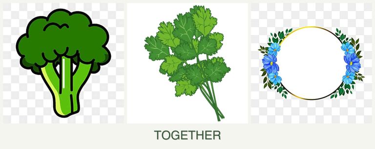 Can you plant broccoli, cilantro and zinnias together?