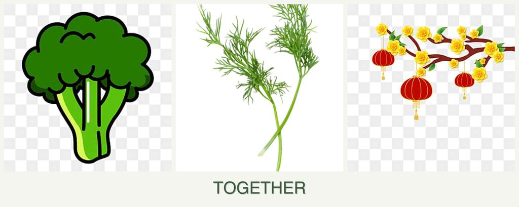 Can you plant broccoli, dill and apricots together?