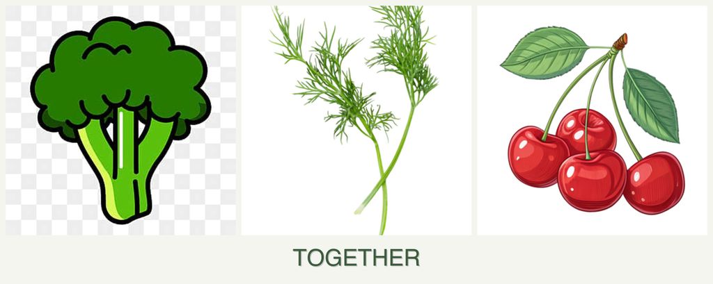 Can you plant broccoli, dill and cherries together?