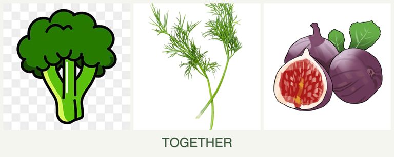 Can you plant broccoli, dill and figs together?