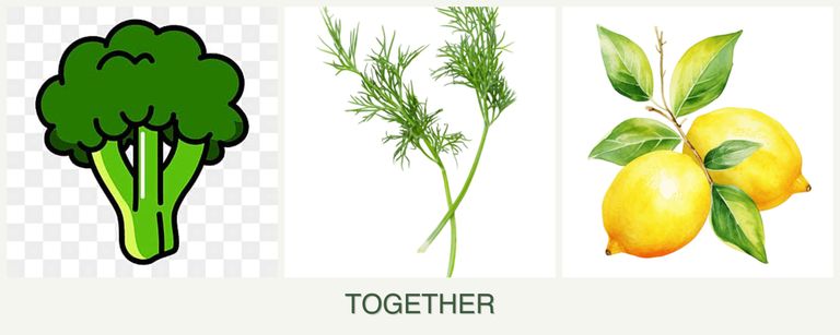 Can you plant broccoli, dill and lemons together?