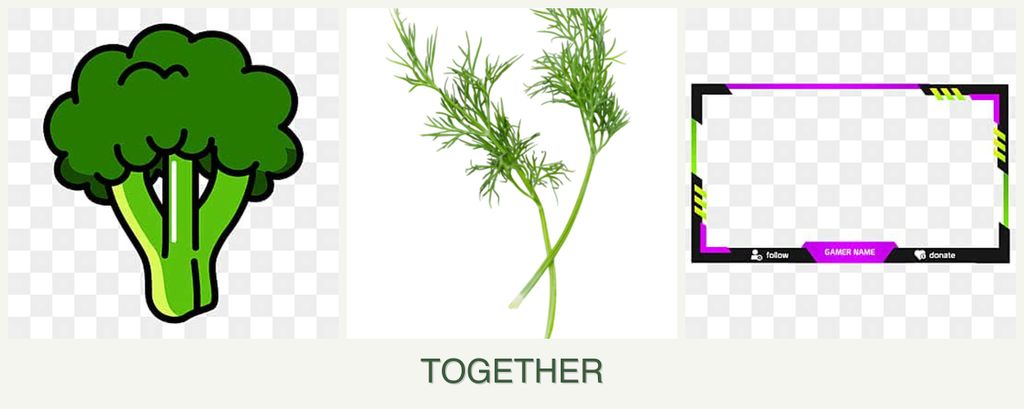 Can you plant broccoli, dill and limes together?