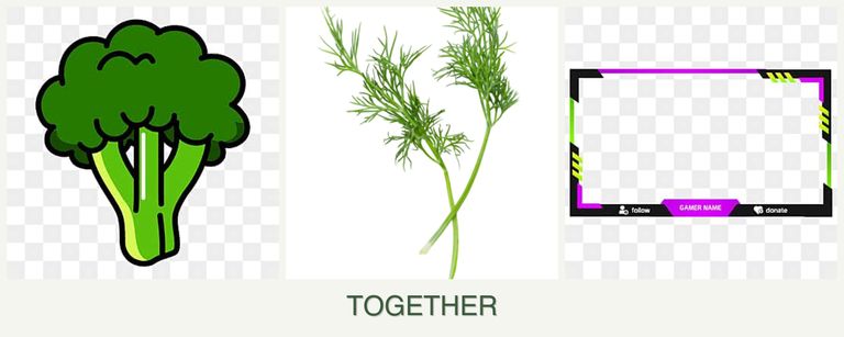 Can you plant broccoli, dill and limes together?