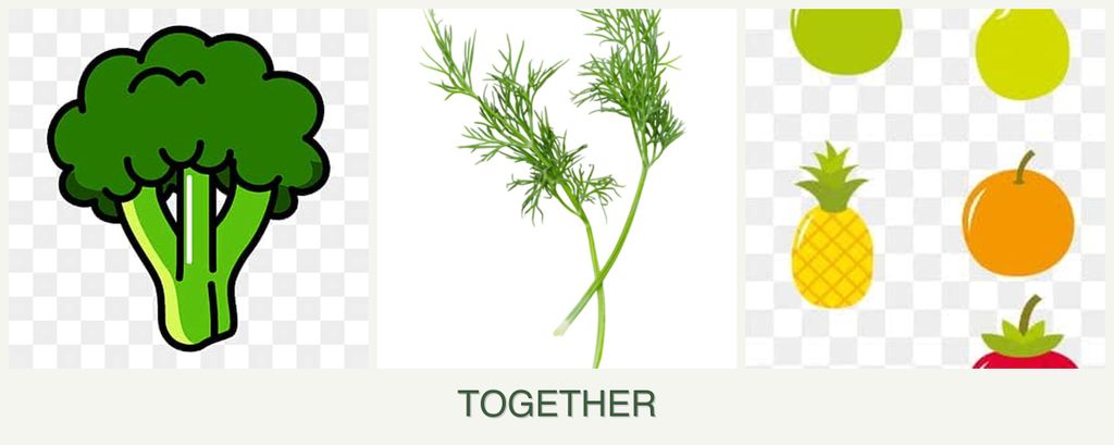 Can you plant broccoli, dill and pears together?