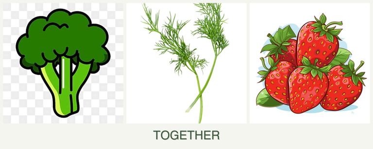 Can you plant broccoli, dill and strawberries together?