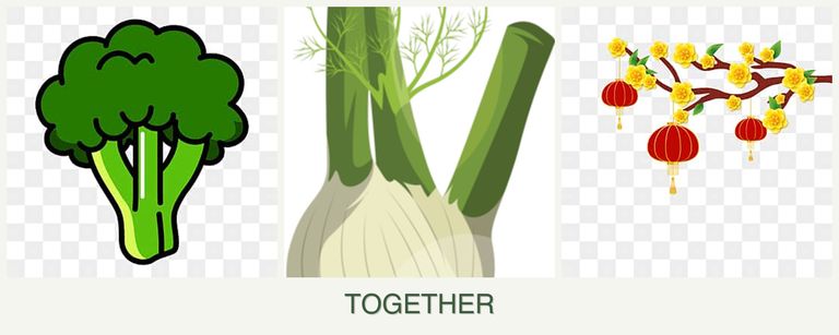 Can you plant broccoli, fennel and apricots together?