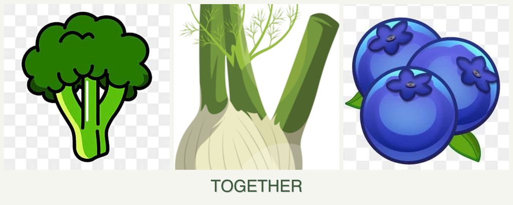 Can you plant broccoli, fennel and blueberries together?