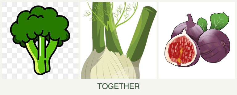 Can you plant broccoli, fennel and figs together?