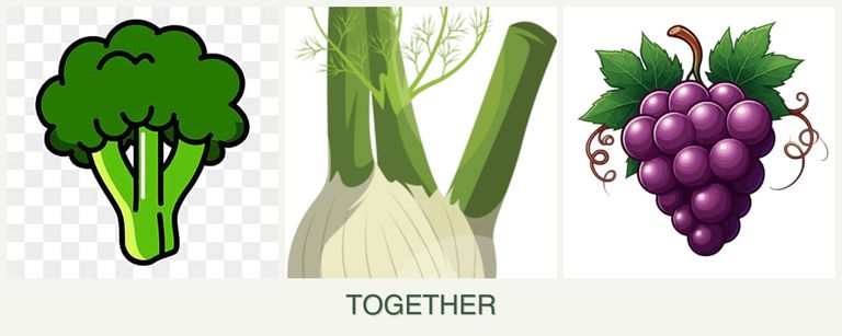 Can you plant broccoli, fennel and grapes together?