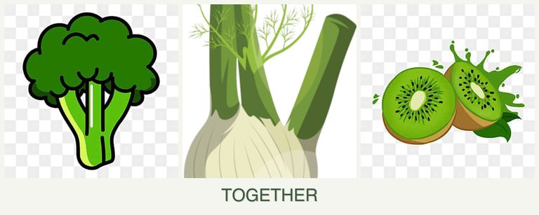 Can you plant broccoli, fennel and kiwi together?