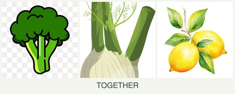 Can you plant broccoli, fennel and lemons together?