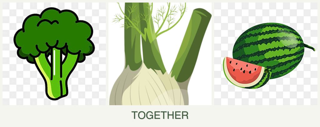 Can you plant broccoli, fennel and melons together?