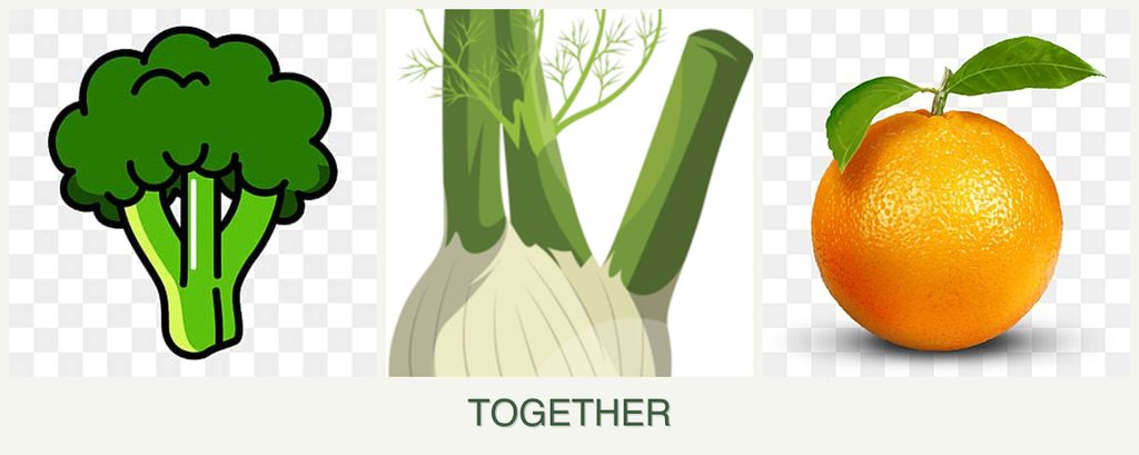 Can you plant broccoli, fennel and oranges together?