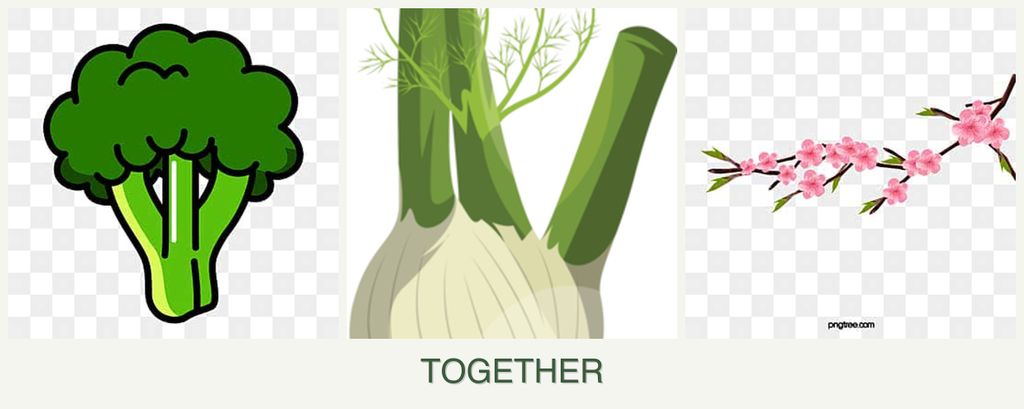 Can you plant broccoli, fennel and peaches together?