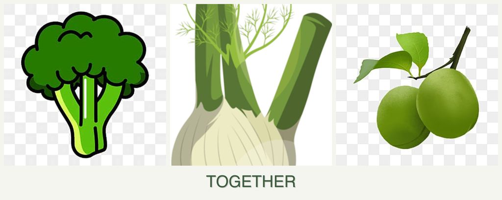 Can you plant broccoli, fennel and plums together?