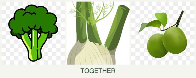 Can you plant broccoli, fennel and plums together?